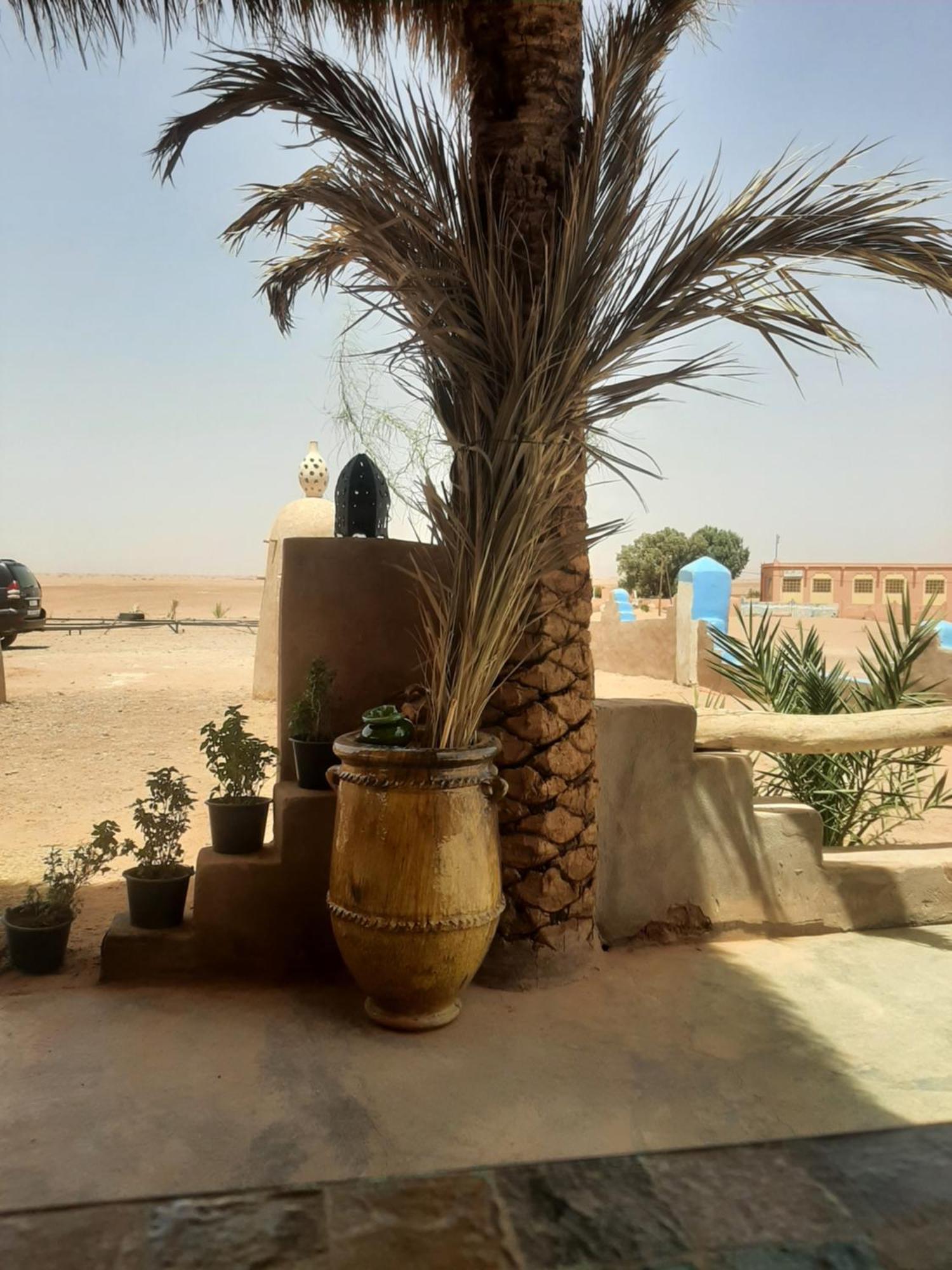 Auberge Kasbah Dar Sahara Tours M'Hamid Esterno foto